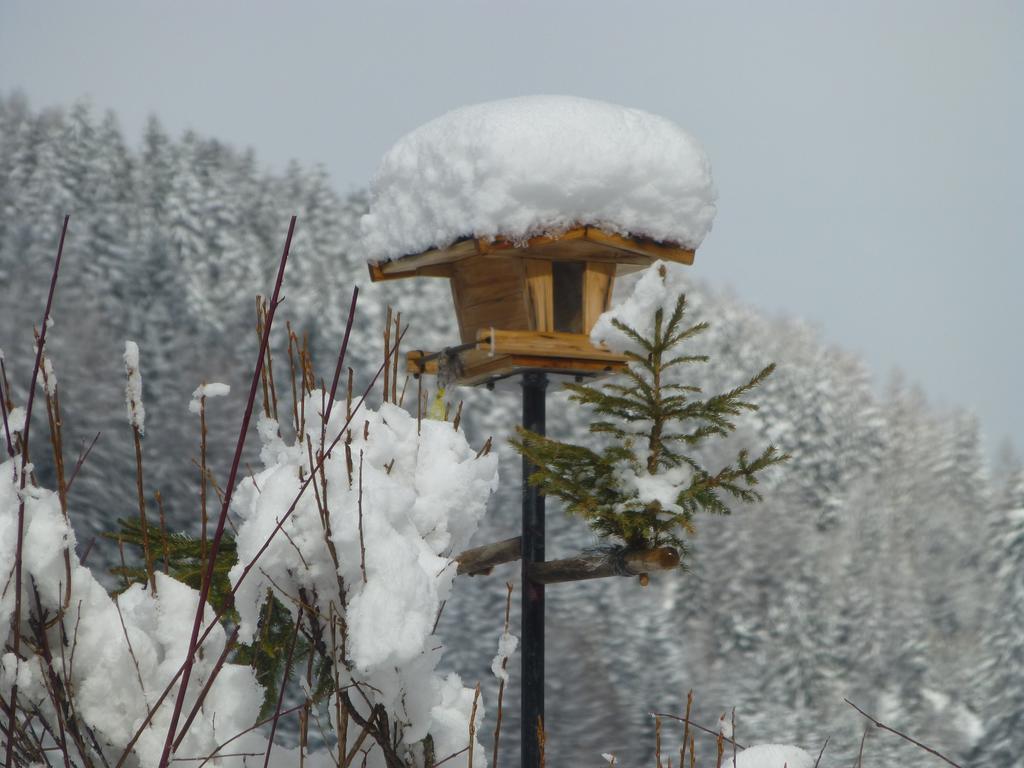 Guesthouse Mountain View Grosskirchheim Luaran gambar